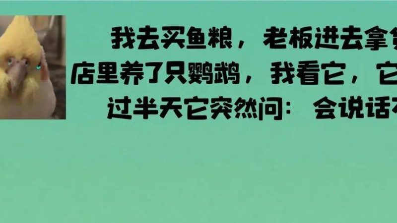 无糖与普通儿童饼干：揭秘两者本质差异